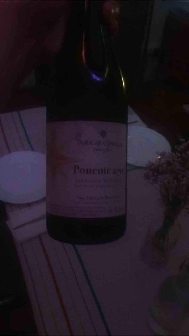 Ponente 270 - Podere Cipolla - Denny Bini 