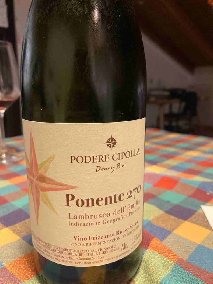 Ponente 270 - Podere Cipolla - Denny Bini 
