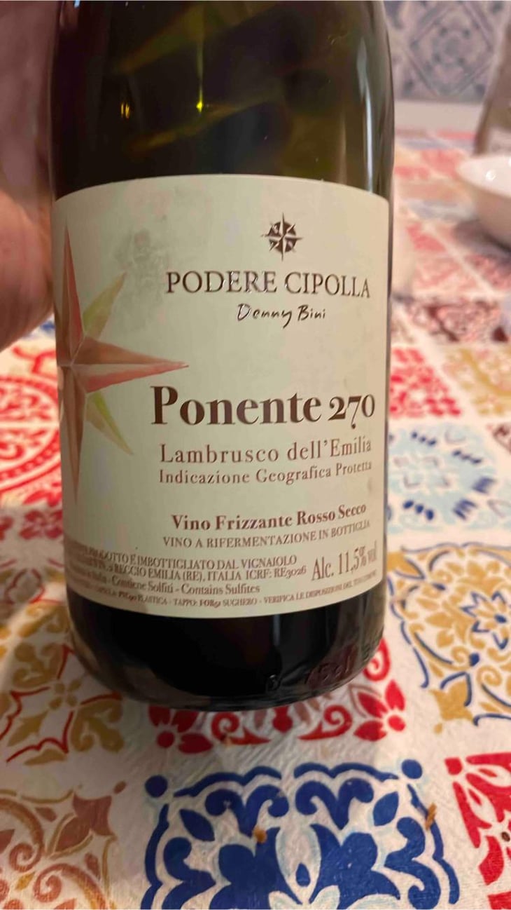 Ponente 270 - Podere Cipolla - Denny Bini 
