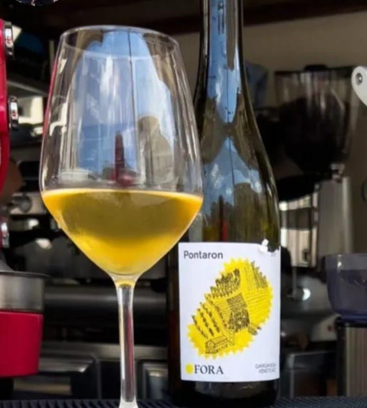 Pantaron - Fora Wines - Giovanni Bottazzi, Simone Fanton 