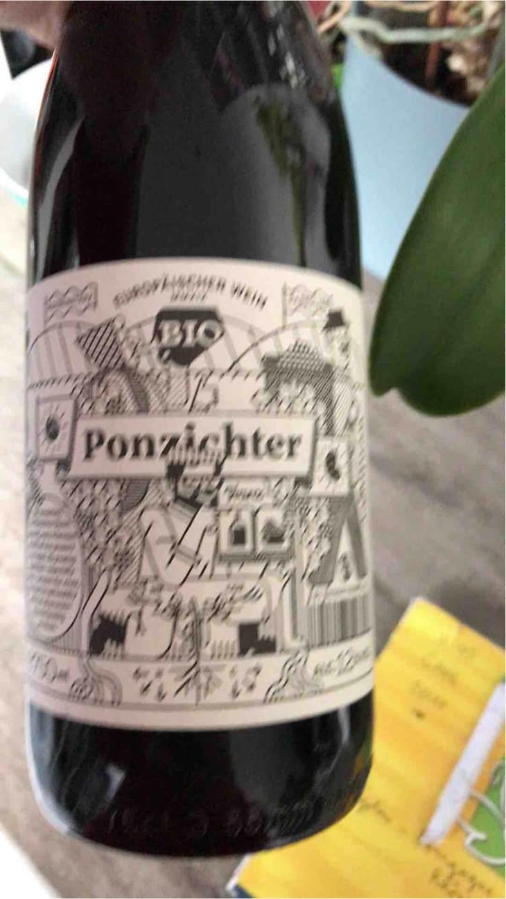Ponzichter - Weingut Weninger (Austria) / Weninger Pincészet (Hungary) - Franz Weninger 