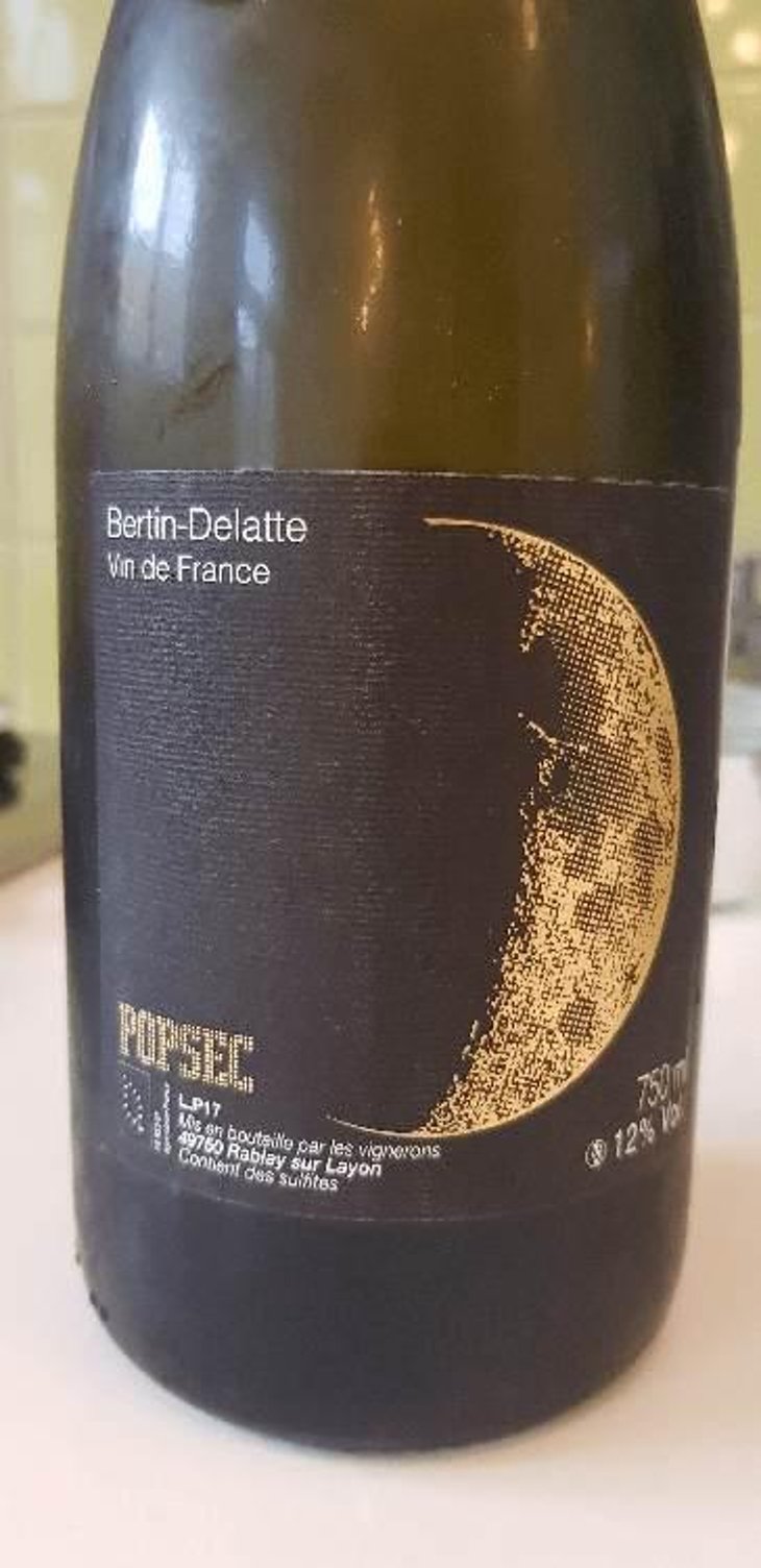 Popsec - Bertin Delatte - Nicolas Bertin & Geneviève Delatte 