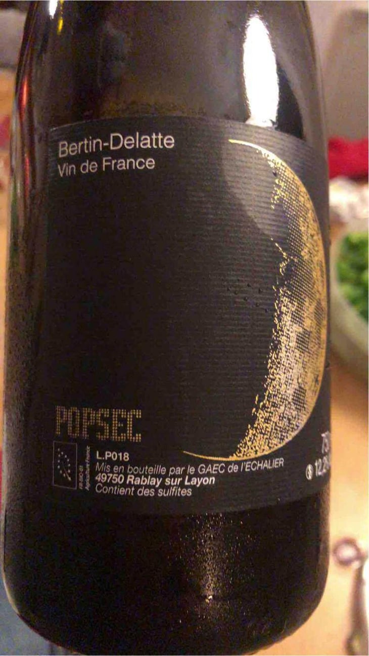 Popsec - Bertin Delatte - Nicolas Bertin & Geneviève Delatte 