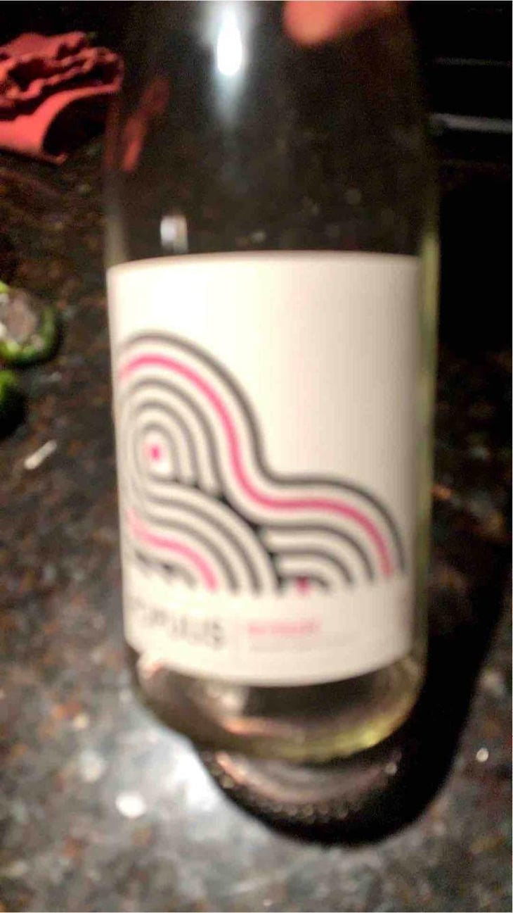 Populis Reversée - Les Lunes Wine / Populis Wine - Shaunt Oungolian & Diego Roig 