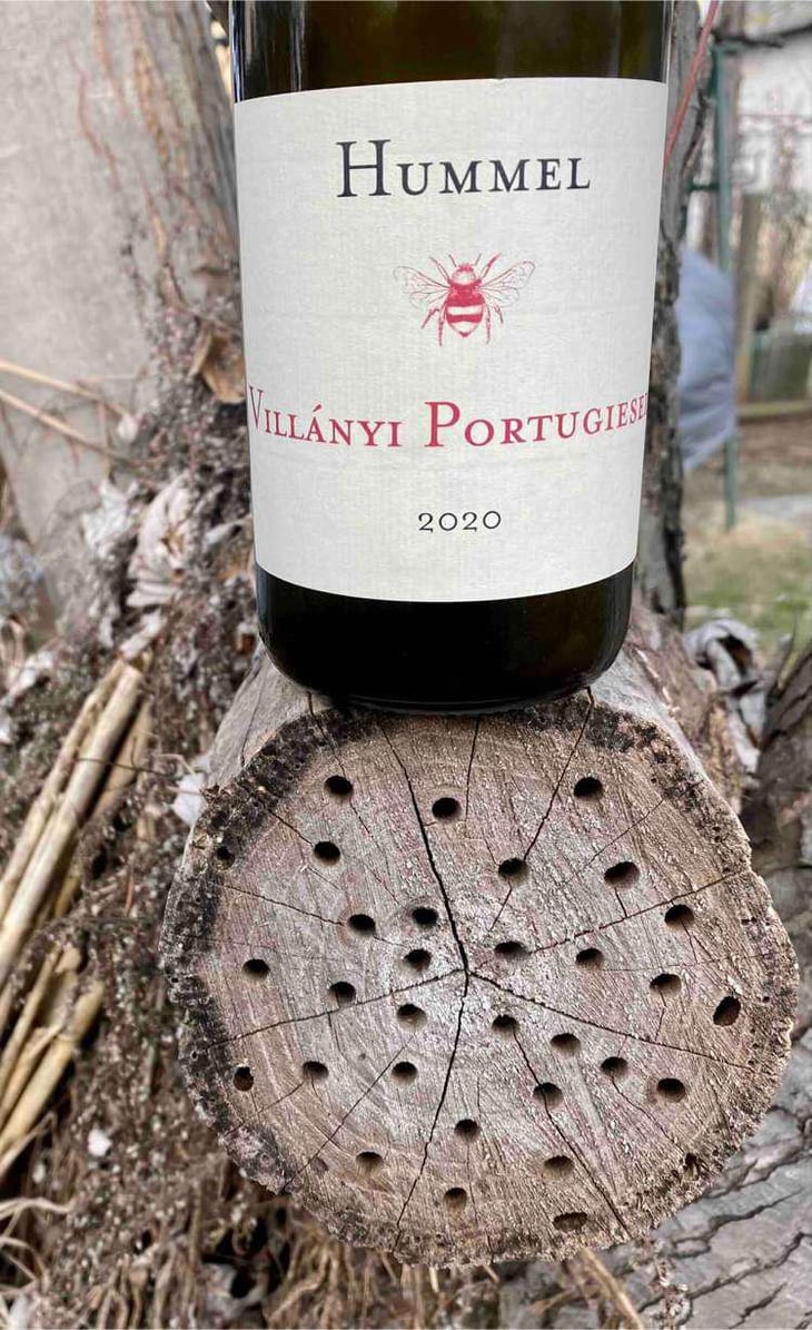 Villányi Portugieser - Hummel Pincészet - Weingut Hummel - Horst Hummel -2020