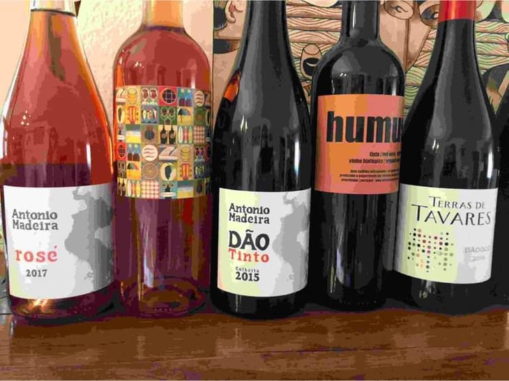 Portuguese Line-Up #1 -  - 71742