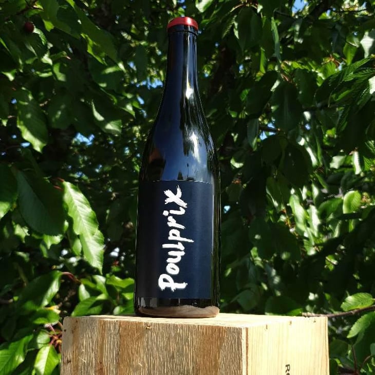 Poulprix - Domaine Ganevat - Anne & Jean-François Ganevat 