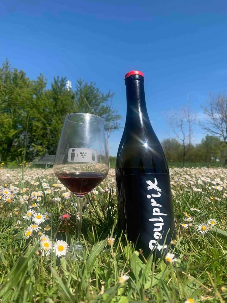 Poulprix - Domaine Ganevat - Anne & Jean-François Ganevat 