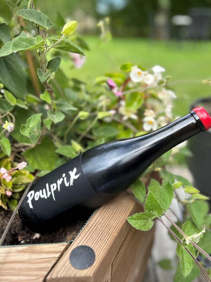 Poulprix - Domaine Ganevat - Anne & Jean-François Ganevat 