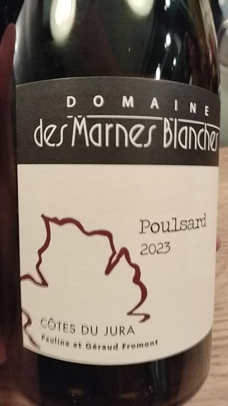 Poulsard - Domaine Des Marnes Blanches - Pauline & Géraud Fromont 