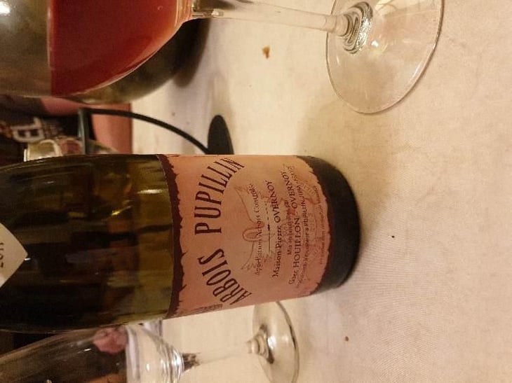 Ce n'est pas du rosé c'est du poulsard - Lulu Vigneron - Ludwig Bindernagel 