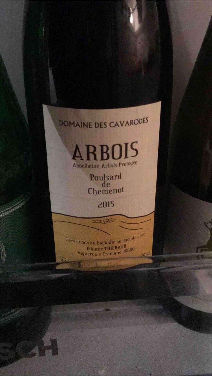 Poulsard de Chemenot - Domaine des Cavarodes - Etienne Thiebaud 