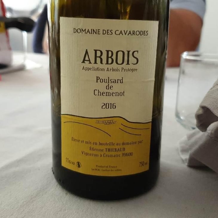 Poulsard de Chemenot - Domaine des Cavarodes - Etienne Thiebaud 