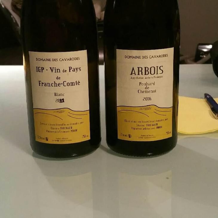 Poulsard de Chemenot - Domaine des Cavarodes - Etienne Thiebaud 
