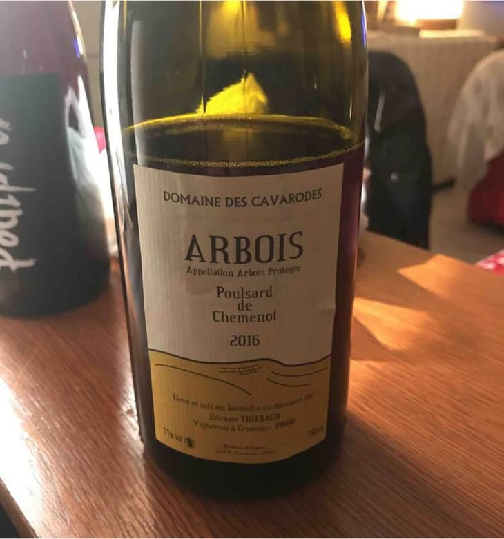Poulsard de Chemenot - Domaine des Cavarodes - Etienne Thiebaud 