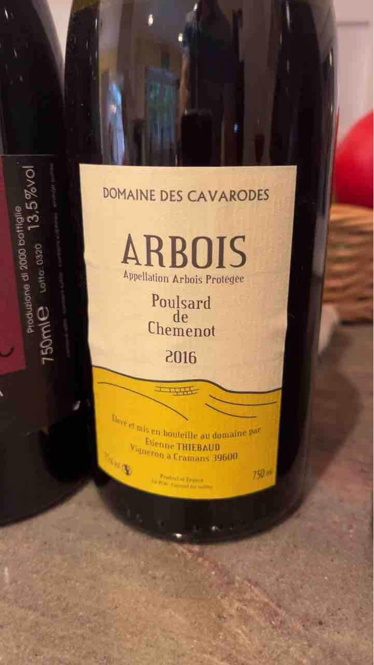 Poulsard de Chemenot - Domaine des Cavarodes - Etienne Thiebaud 
