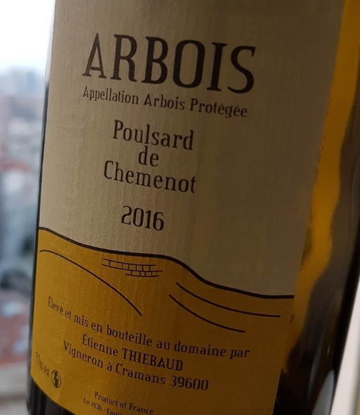 Poulsard de Chemenot - Domaine des Cavarodes - Etienne Thiebaud 