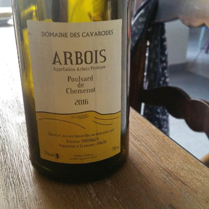 Poulsard de Chemenot - Domaine des Cavarodes - Etienne Thiebaud 