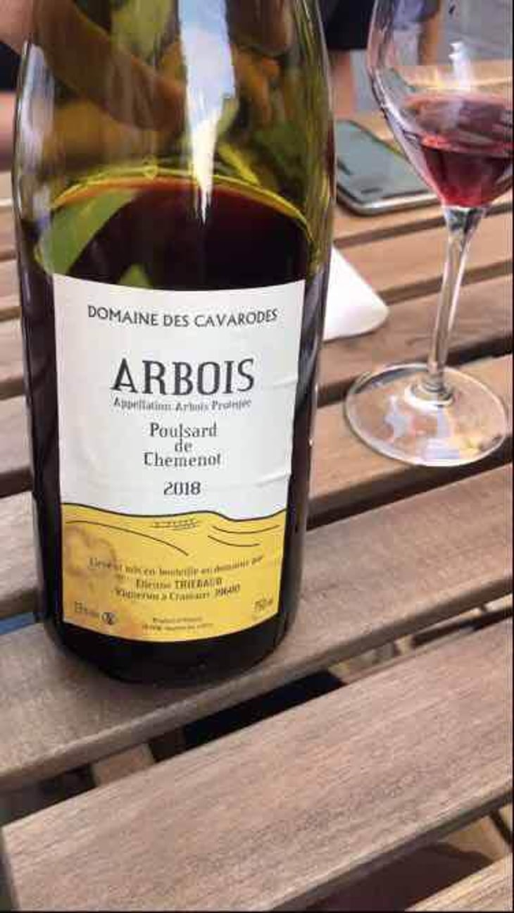 Poulsard de Chemenot - Domaine des Cavarodes - Etienne Thiebaud 