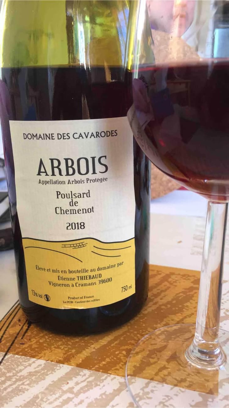 Poulsard de Chemenot - Domaine des Cavarodes - Etienne Thiebaud 