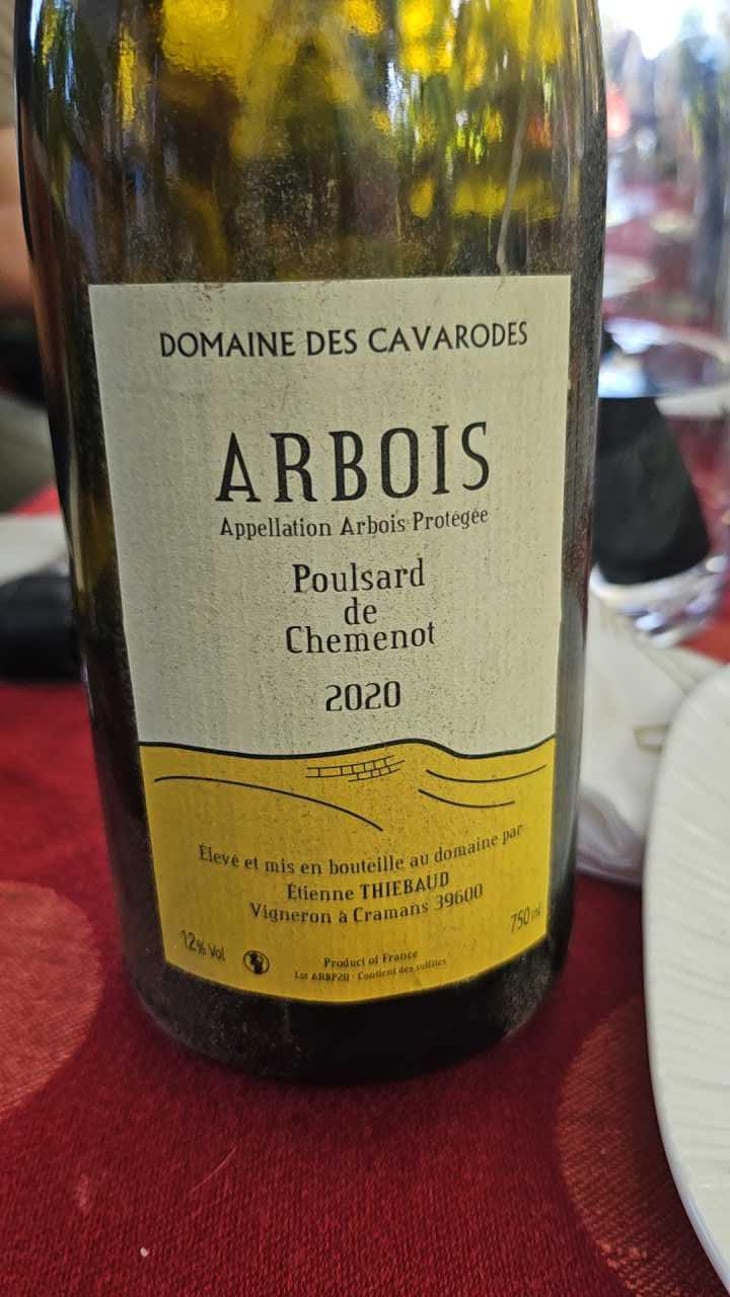 Poulsard de Chemenot - Domaine des Cavarodes - Etienne Thiebaud 