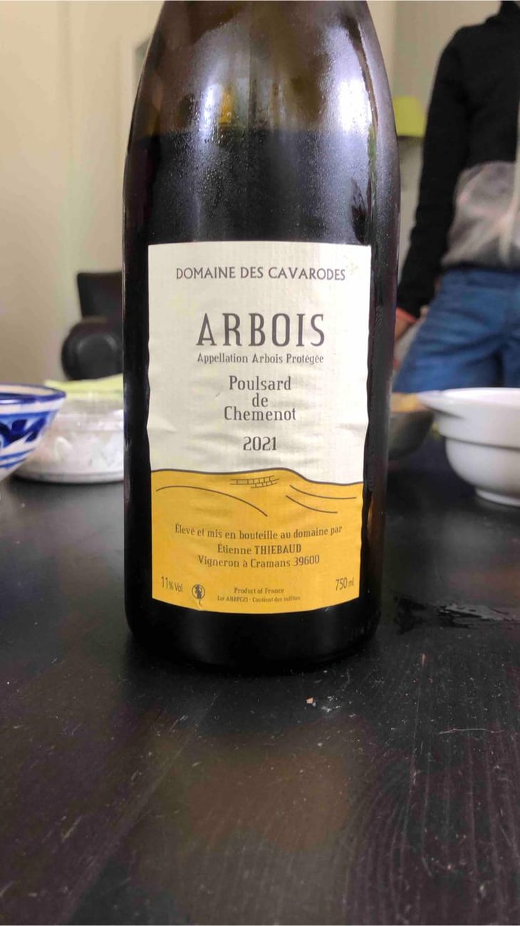 Poulsard de Chemenot - Domaine des Cavarodes - Etienne Thiebaud 