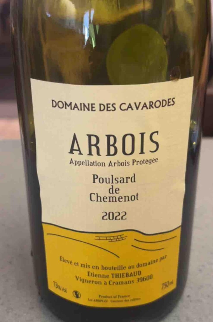 Poulsard de Chemenot - Domaine des Cavarodes - Etienne Thiebaud 