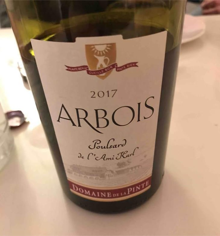 Poulsard De L'Ami Karl - Domaine de la Pinte - Pierre Martin 