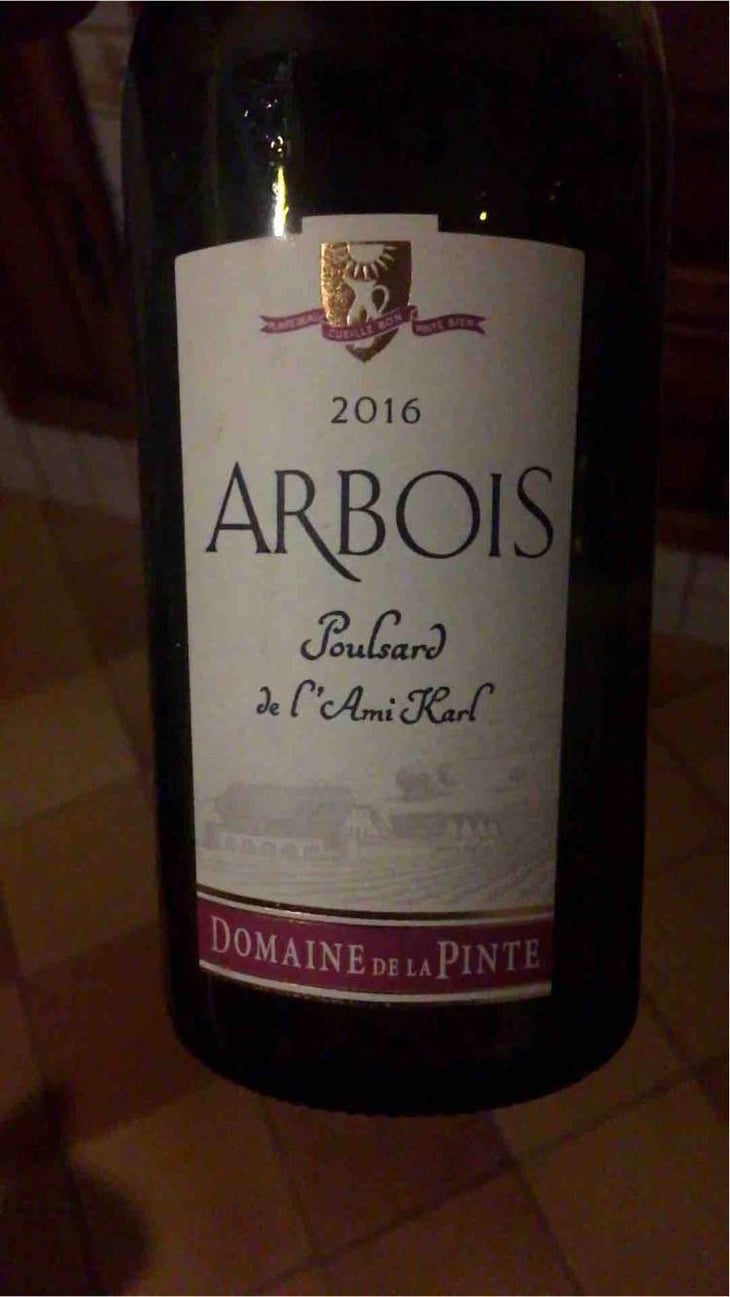 Poulsard De L'Ami Karl - Domaine de la Pinte - Pierre Martin 