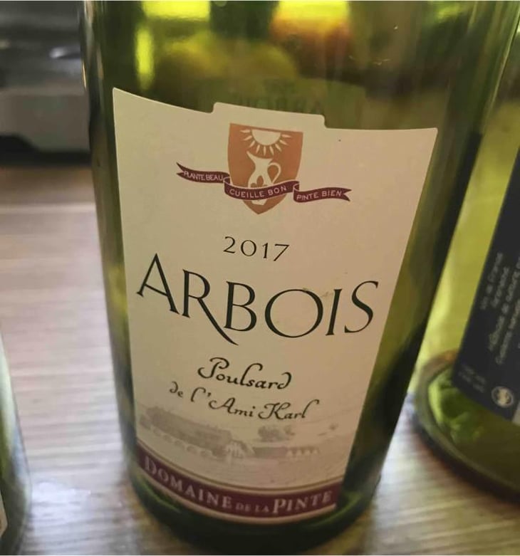 Poulsard De L'Ami Karl - Domaine de la Pinte - Pierre Martin 