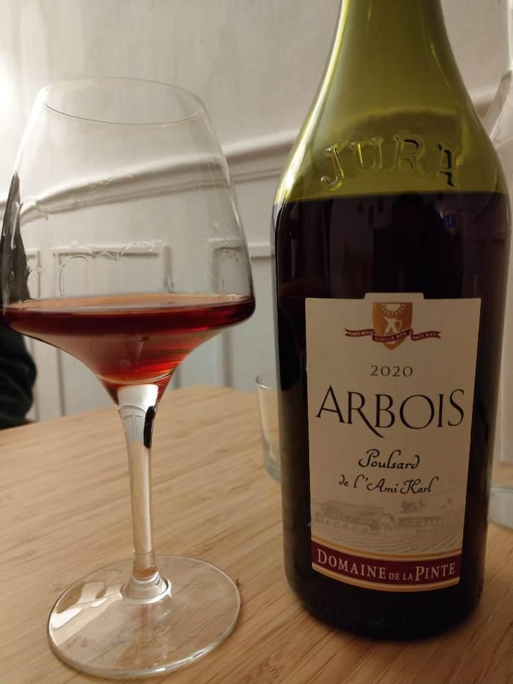 Poulsard De L'Ami Karl - Domaine de la Pinte - Pierre Martin 
