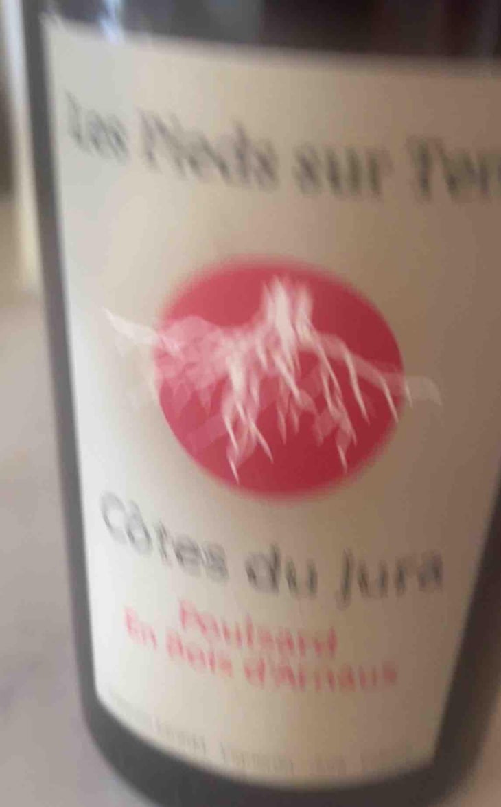Poulsard En Bois d'Arnaux - Les Pieds Sur Terre - Valentin Morel -2022