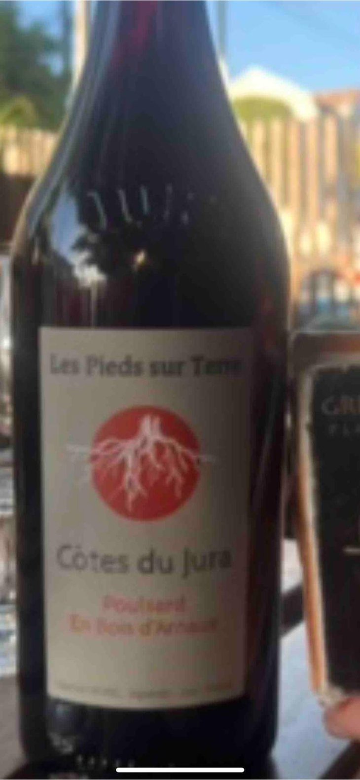 Poulsard En Bois d'Arnaux - Les Pieds Sur Terre - Valentin Morel -2022