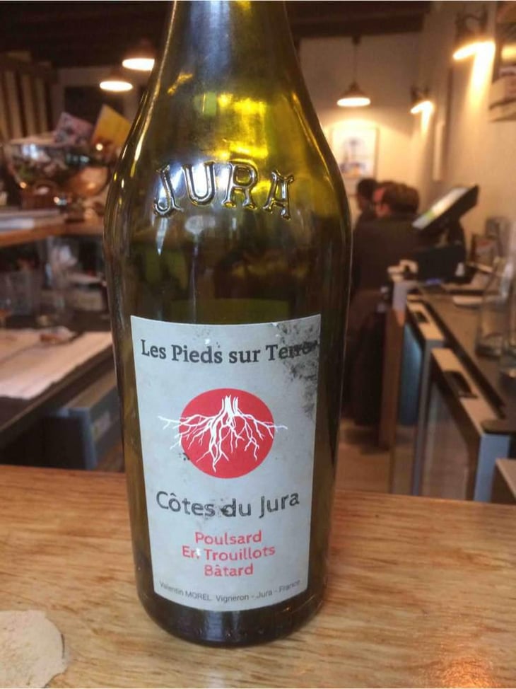 Poulsard En Trouillots Bâtard - Les Pieds Sur Terre - Valentin Morel 