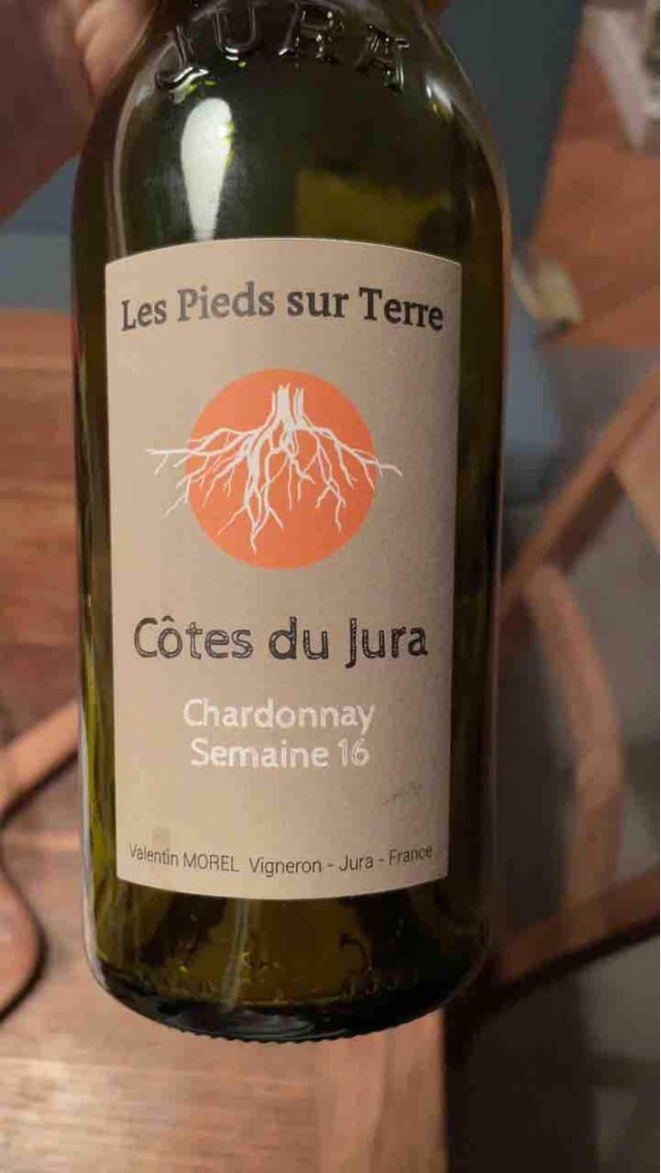 Poulsard En Trouillots Bâtard - Les Pieds Sur Terre - Valentin Morel 