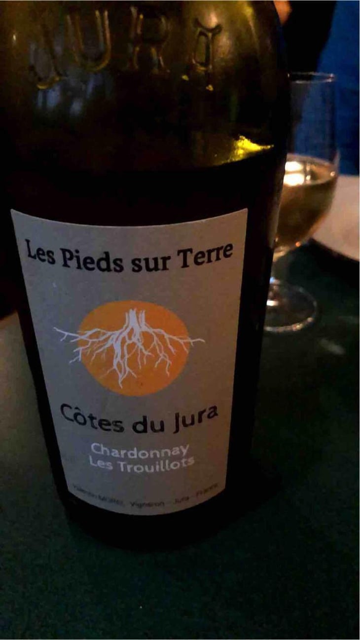 Poulsard En Trouillots Bâtard - Les Pieds Sur Terre - Valentin Morel 