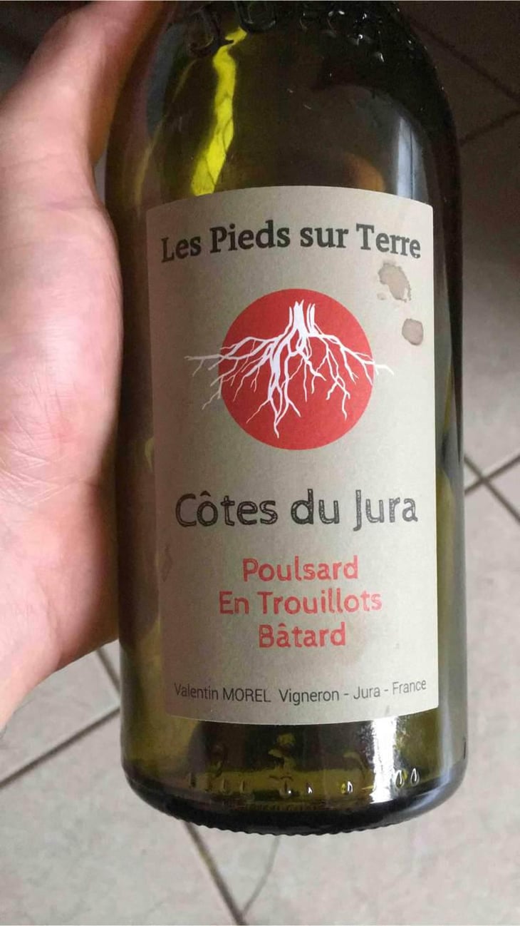 Poulsard En Trouillots Bâtard - Les Pieds Sur Terre - Valentin Morel 