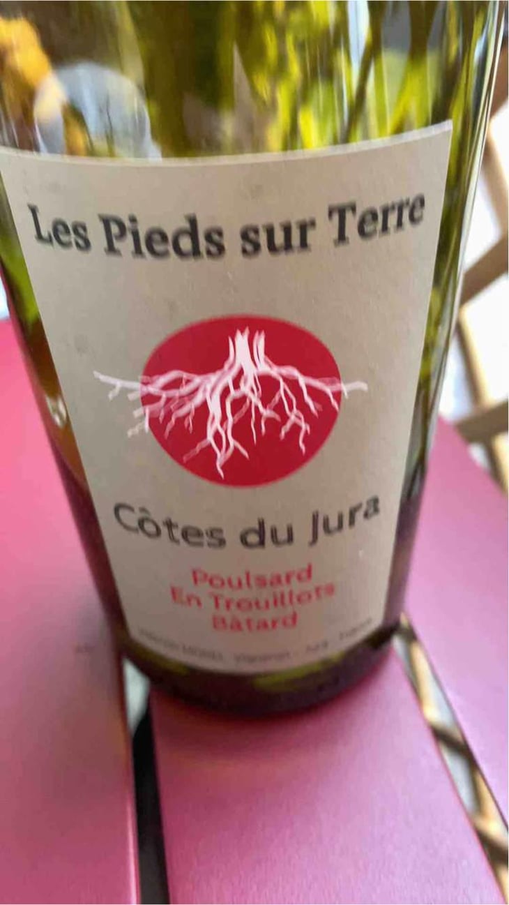 Poulsard En Trouillots Bâtard - Les Pieds Sur Terre - Valentin Morel 