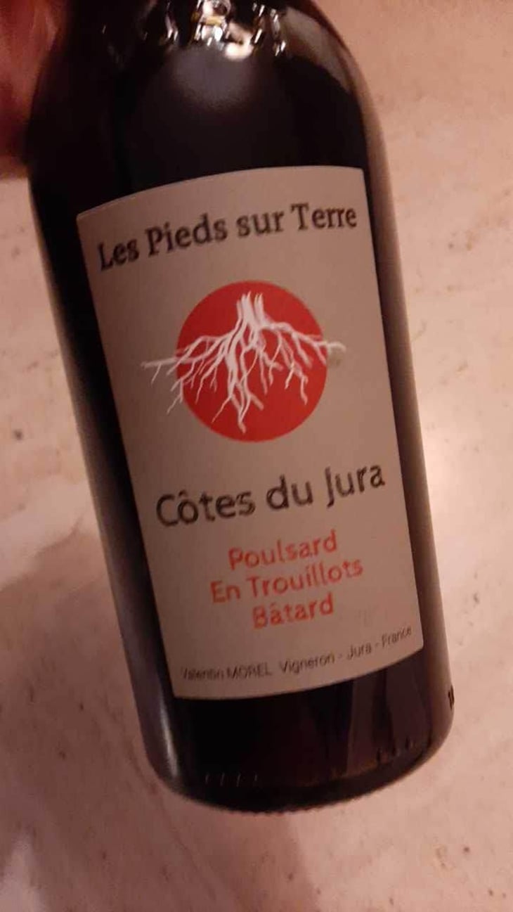 Poulsard En Trouillots Bâtard - Les Pieds Sur Terre - Valentin Morel 
