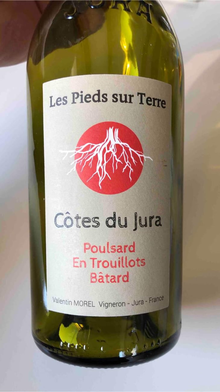 Poulsard En Trouillots Bâtard - Les Pieds Sur Terre - Valentin Morel 