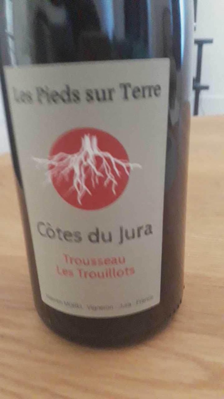Poulsard En Trouillots Bâtard - Les Pieds Sur Terre - Valentin Morel 