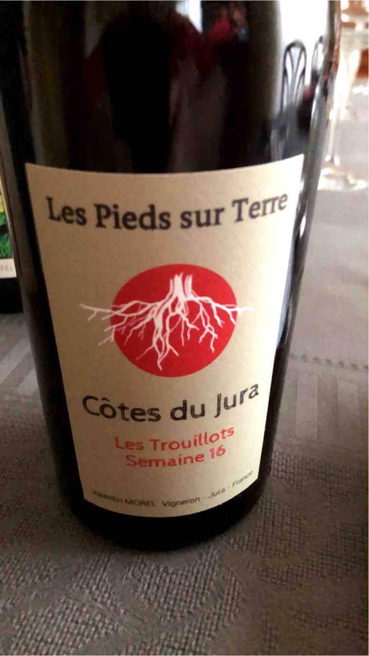 Poulsard En Trouillots Bâtard - Les Pieds Sur Terre - Valentin Morel 