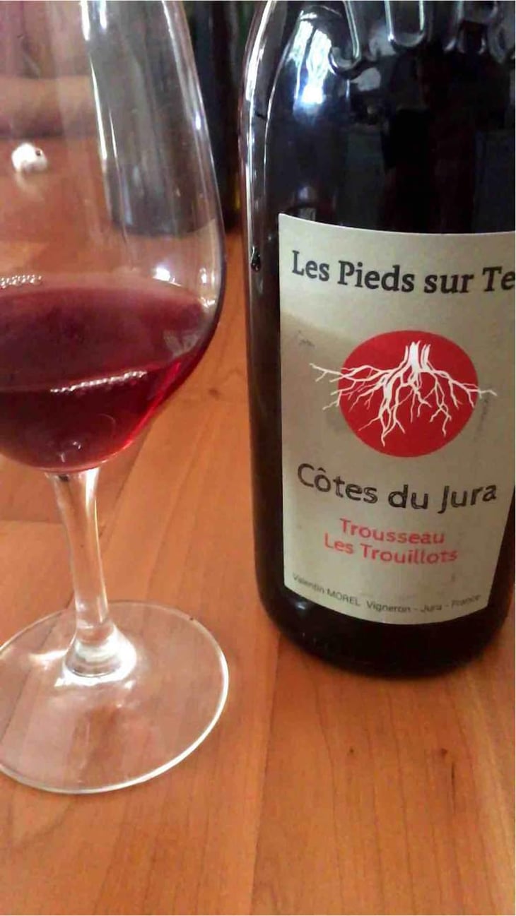 Poulsard En Trouillots Bâtard - Les Pieds Sur Terre - Valentin Morel 