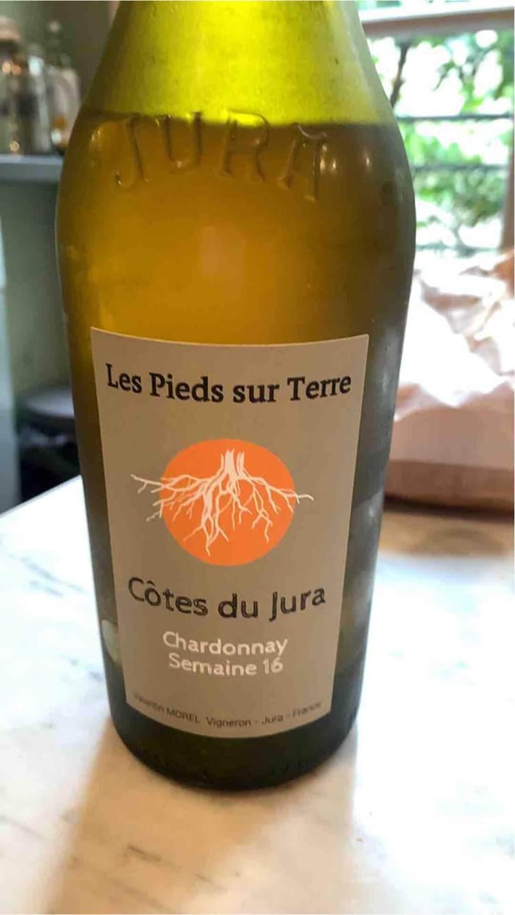 Poulsard En Trouillots Bâtard - Les Pieds Sur Terre - Valentin Morel 