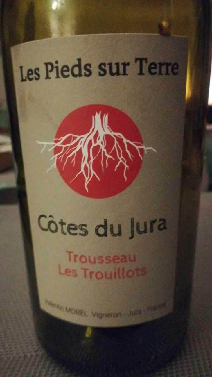 Poulsard En Trouillots Bâtard - Les Pieds Sur Terre - Valentin Morel 