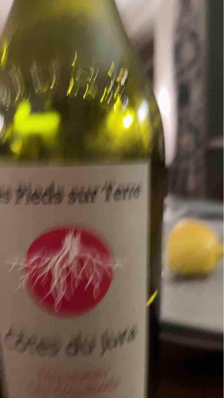 Poulsard En Trouillots Bâtard - Les Pieds Sur Terre - Valentin Morel 