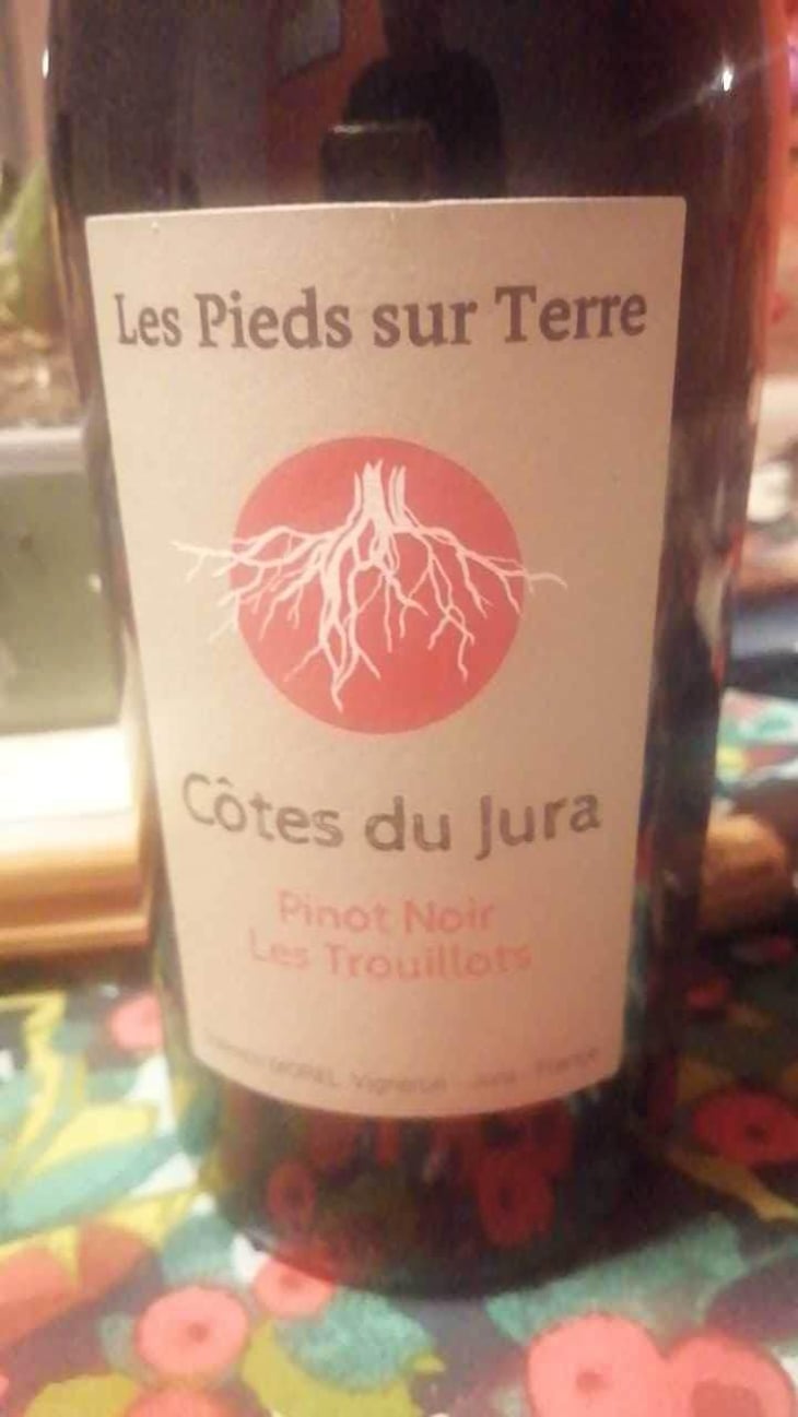 Poulsard En Trouillots Bâtard - Les Pieds Sur Terre - Valentin Morel 