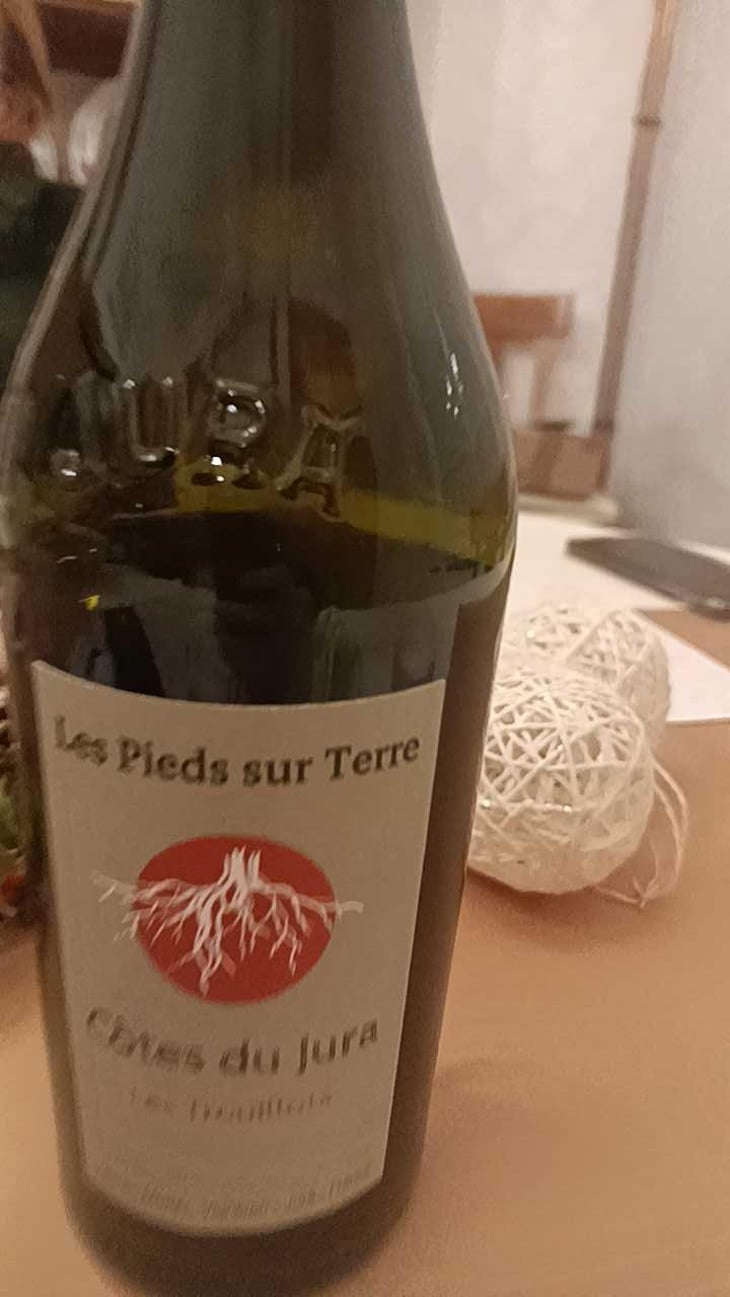 Poulsard En Trouillots Bâtard - Les Pieds Sur Terre - Valentin Morel 