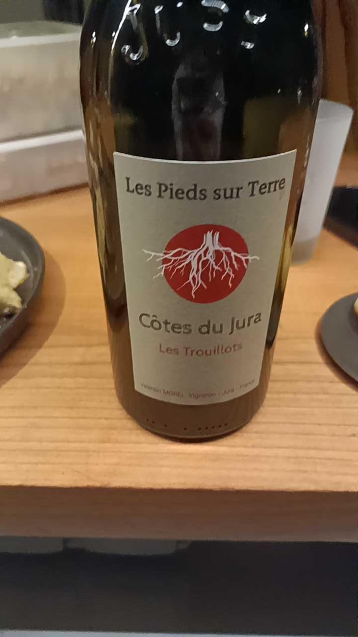 Poulsard En Trouillots Bâtard - Les Pieds Sur Terre - Valentin Morel 