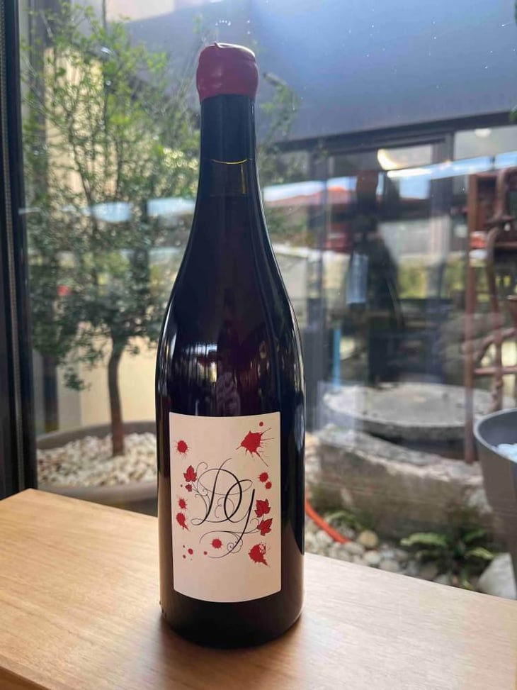 Poulsard - Damien Guadagnolo - Damien Guadagnolo -2019